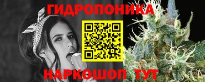 spice Гусь-Хрустальный