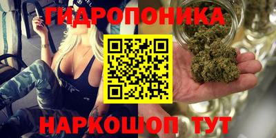 spice Гусь-Хрустальный