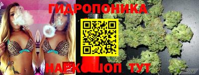 spice Гусь-Хрустальный