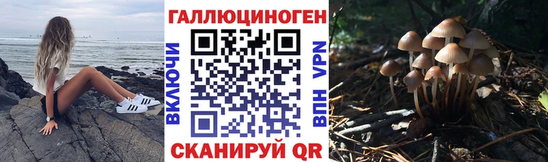 даркнет сайт  Джанкой  Псилоцибиновые грибы мухоморы 