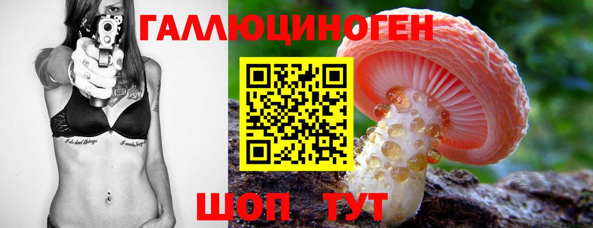 Псилоцибиновые грибы мицелий  Псилоцибиновые грибы прущие грибы  Вход с VPN  Джанкой 